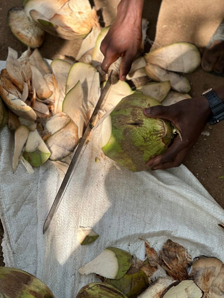 Community Health Evangelism training and outreach in the Volta Region – photo 104
